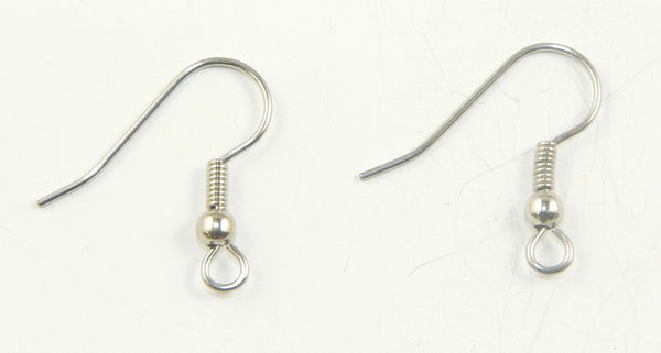 Surgical Steel Earwires (1 pair)
