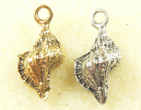 Conch Shell